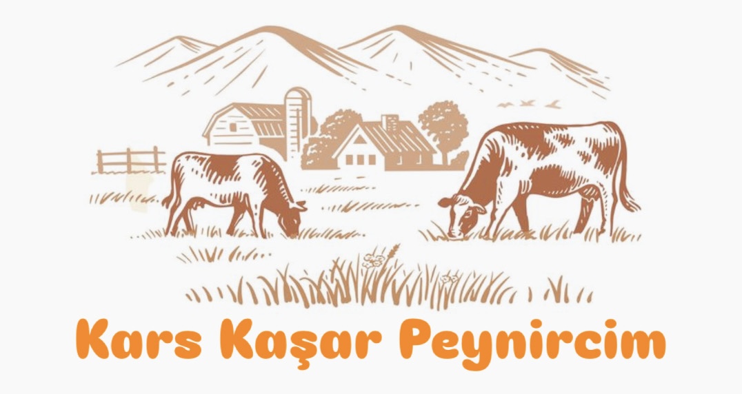 Kars Kaşar Peynircim 